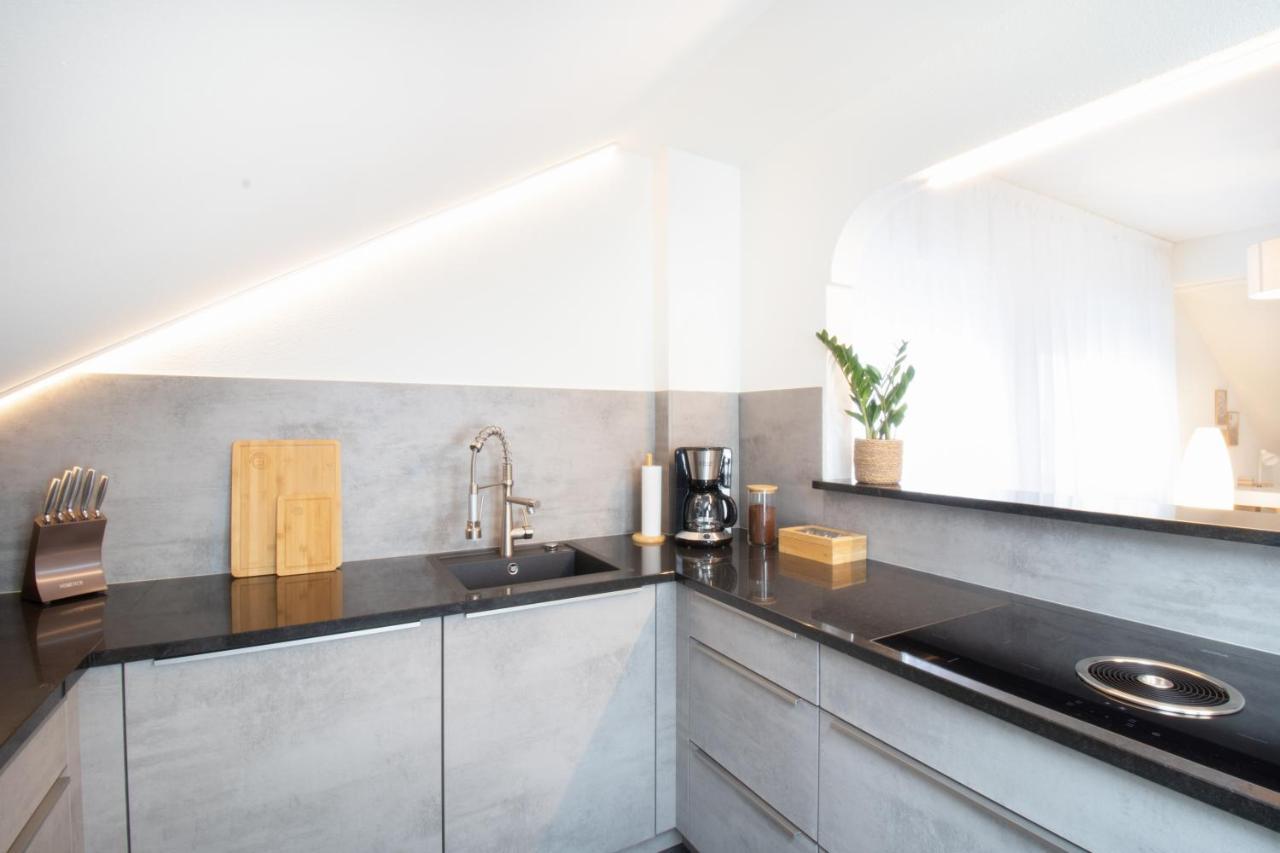 Loewe Apartment Blau ノイウハウゼン・アム・ラインファル エクステリア 写真