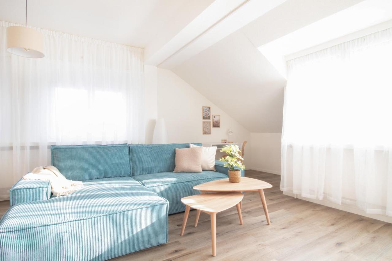 Loewe Apartment Blau ノイウハウゼン・アム・ラインファル エクステリア 写真